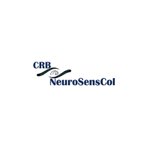 NeuroSensCol