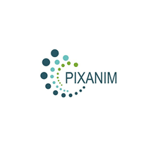 PIXANIM