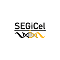 Service ddition gntique de C. elegans (SEGiCel)